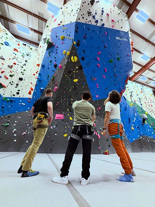 Climbing wall detail